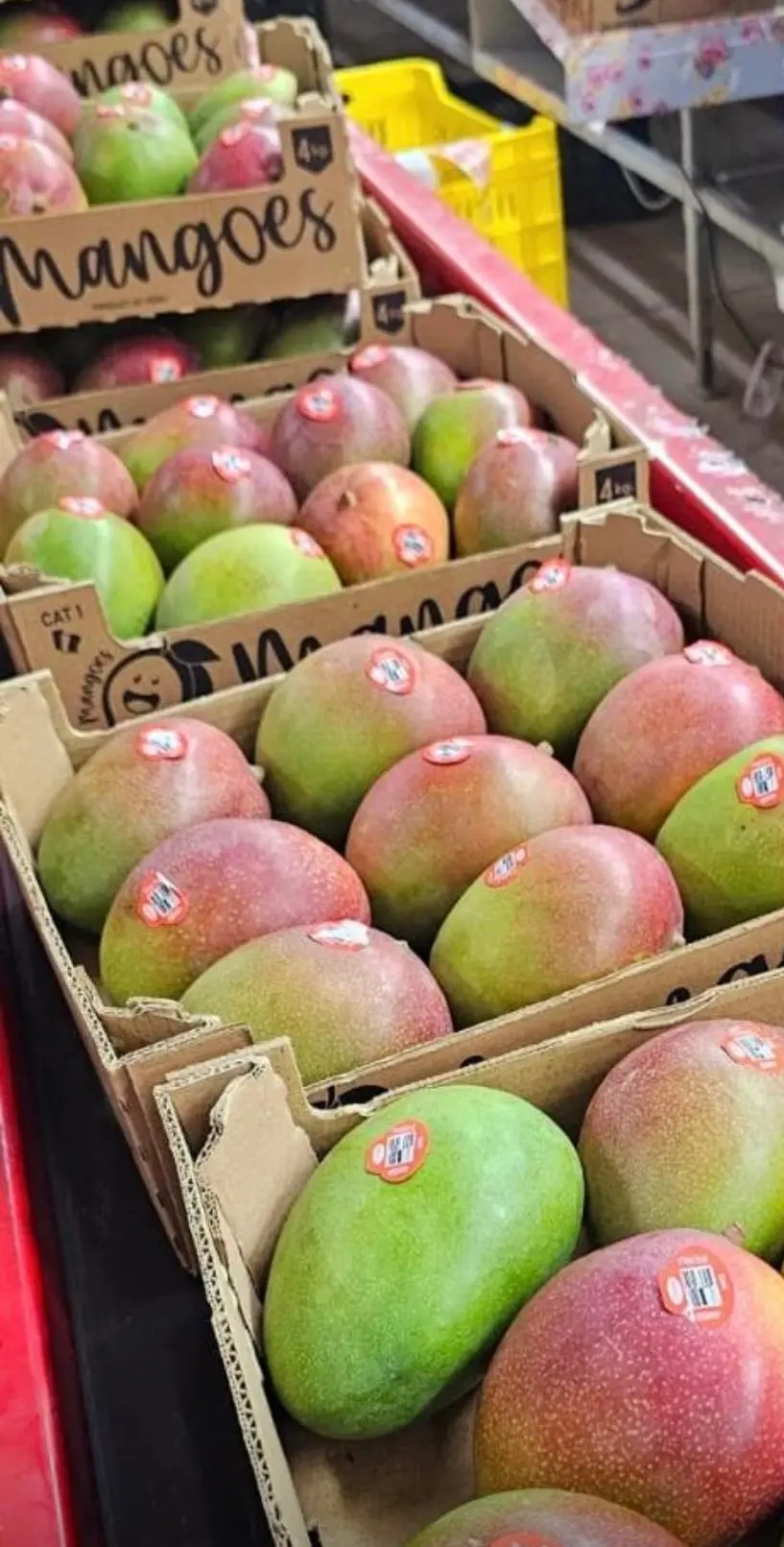 Fresh wholesale mangos
